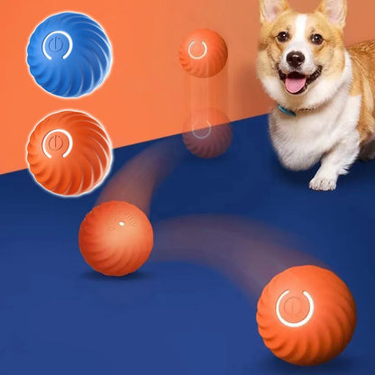 Dog Electric Interactive Training Toys Fetch Ball | Automatic Jumping Ball for Pet