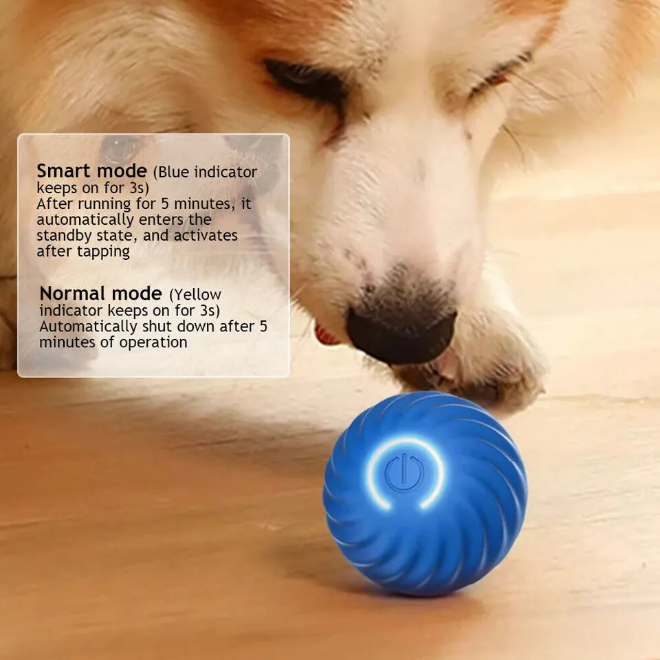 Dog Electric Interactive Training Toys Fetch Ball | Automatic Jumping Ball for Pet