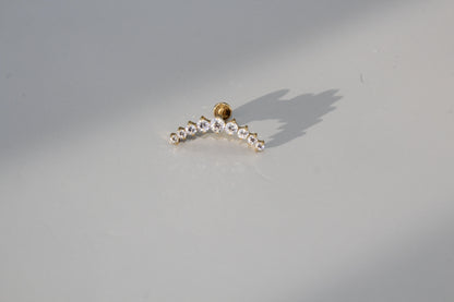Cartilage Helix Lobe Conch Earring