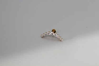 Cartilage Helix Lobe Conch Earring